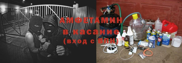 ГАЛЛЮЦИНОГЕННЫЕ ГРИБЫ Алзамай