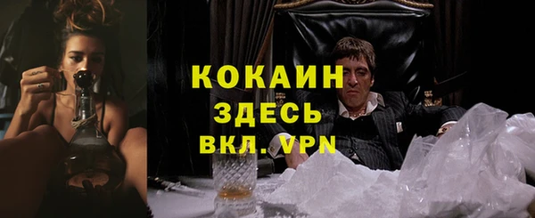 мет Арсеньев