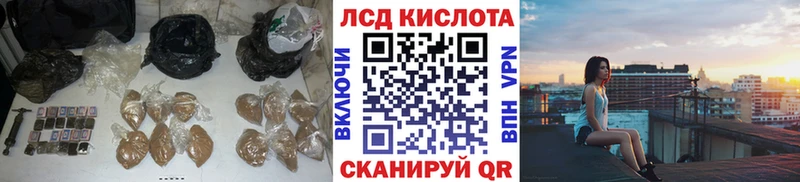 где купить наркотик  Курчалой  Лсд 25 экстази кислота 