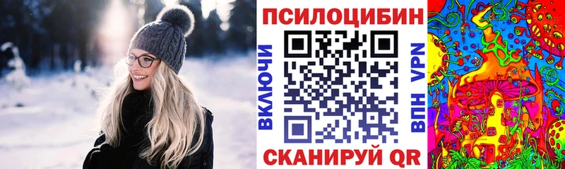 Псилоцибиновые грибы Cubensis  Курчалой 