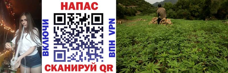 наркошоп  Курчалой  Бошки Шишки план 